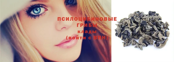 apvp Сосновоборск