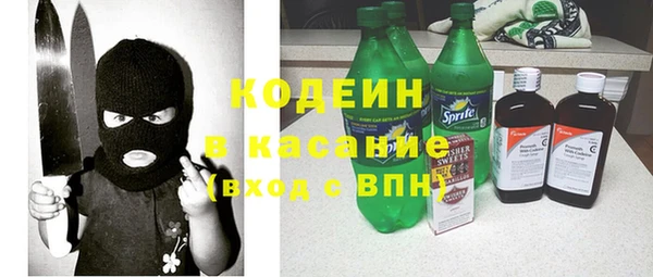 прущие грибы Карталы